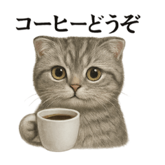 [LINEスタンプ] 【癒し】スコティッシュホールド猫カフェ
