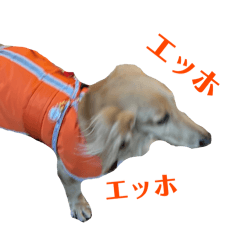 [LINEスタンプ] 大阪弁の犬