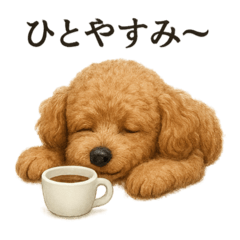 [LINEスタンプ] 【癒し】トイプードルのまったりスタンプ