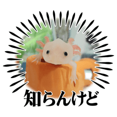 [LINEスタンプ] ウーパールーパーの可愛い日常生活
