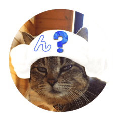 [LINEスタンプ] うちのnekoシリーズ6