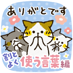 [LINEスタンプ] チャンパチとあそぼ【割とよく使う言葉編】