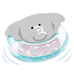 [LINEスタンプ] ずんぐりむっくり ぞーさん 3