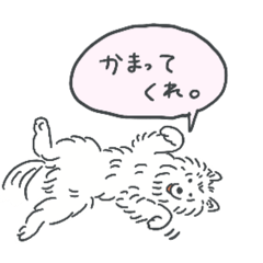 [LINEスタンプ] 可愛いサモエドスタンプ
