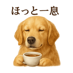 [LINEスタンプ] 【癒し】ゴールデンレトリバーのカフェ
