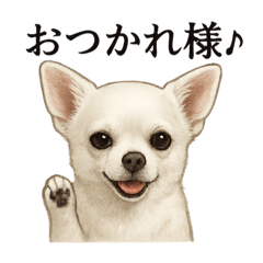 [LINEスタンプ] 【癒し】白いチワワのまったりカフェ一言