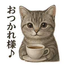 [LINEスタンプ] 【癒し】アメリカンショートヘアのまったり