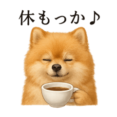 [LINEスタンプ] 【癒し】ポメラニアンのまったりカフェ