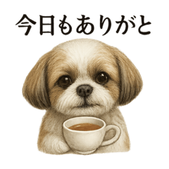 [LINEスタンプ] 【癒し】リアルなシーズーのまったりカフェ