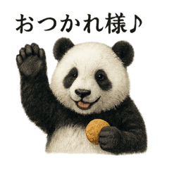 [LINEスタンプ] 【癒し】リアルすぎるパンダまったりカフェ