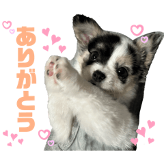 [LINEスタンプ] ぶうちゃん＆イケメンの画像（メイン）