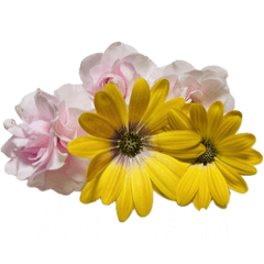 [LINEスタンプ] 花の写真シンプルなメッセージスタンプ