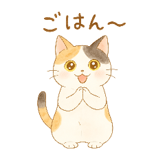 [LINEスタンプ] やさしいねこの毎日スタンプ