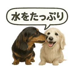 [LINEスタンプ] ららら 犬