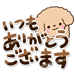 [LINEスタンプ] トイプードル「アプリコット」敬語・丁寧