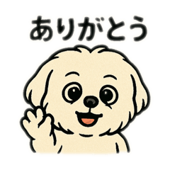 [LINEスタンプ] 色んな表情するマルチーズ