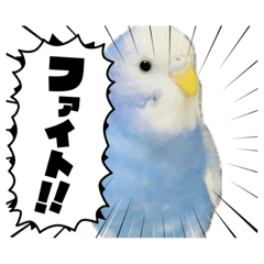 [LINEスタンプ] とらちゃんのすけスタンプ