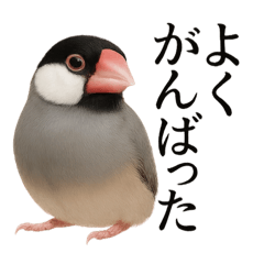 [LINEスタンプ] 仕事終わりひとこと集〜文鳥