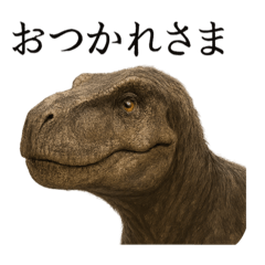 [LINEスタンプ] 仕事終わりひとこと集〜ティラノサウルス