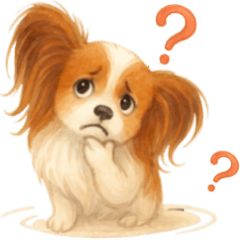 [LINEスタンプ] パピヨン、気持ちを伝えるスタンプ
