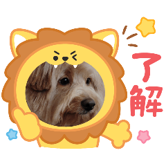 [LINEスタンプ] ドアップラテ