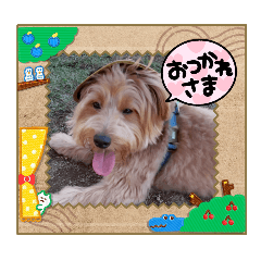 [LINEスタンプ] 気遣いラテくん