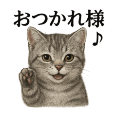 [LINEスタンプ] 【癒し】リアルなマンチカンまったりカフェ