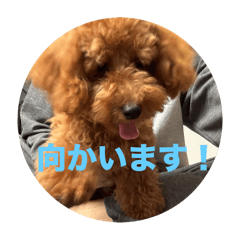 [LINEスタンプ] 名前は、レオくん