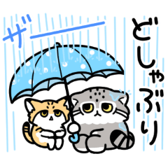 [LINEスタンプ] ゆるっとマヌルちゃん19 梅雨と初夏