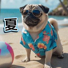 [LINEスタンプ] 飛び出す★夏を感じる・パグ犬【夏、海】
