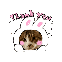 [LINEスタンプ] ウチの猫、空＆詩のスタンプです♪