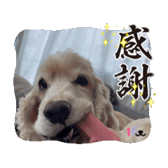 [LINEスタンプ] Boku.wa. Ichiro