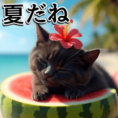 [LINEスタンプ] 飛び出す★夏を感じる・黒猫