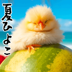 [LINEスタンプ] 飛び出す★夏を感じる・ひよこ
