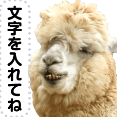 [LINEスタンプ] アルパカの日常的なメッセージスタンプ