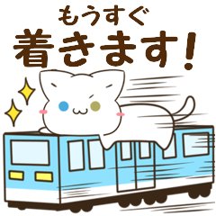 [LINEスタンプ] 毎日使える♡白猫とシマエナガ 待ち合わせ