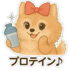 [LINEスタンプ] 美意識が高いポメラニアンの画像（メイン）