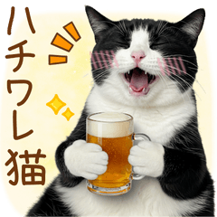 [LINEスタンプ] ゆるかわ！ハチワレ猫の日常スタンプ