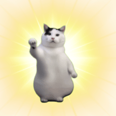 [LINEスタンプ] 動く！踊る猫ミーム(パート25)