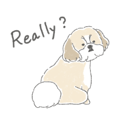 [LINEスタンプ] シーズーとのかわいい毎日