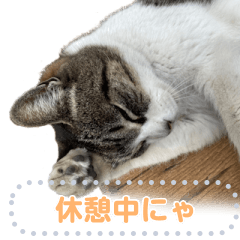 [LINEスタンプ] サプライズ部No12