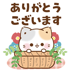 [LINEスタンプ] 気遣い♡思いやりのぷにゃんこ