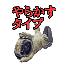 [LINEスタンプ] 【革命児】名言集。