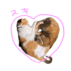 [LINEスタンプ] マブとハルとサラダ（猫）