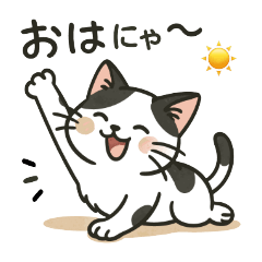 [LINEスタンプ] ハチワレ猫の暮らし