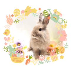 [LINEスタンプ] うさぎのきび丸