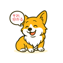 [LINEスタンプ] コーギーまいまい追加分と役にたつ諺集