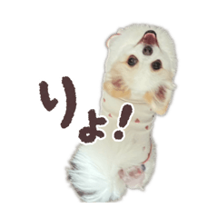 [LINEスタンプ] あたちちくわ！！
