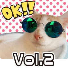 [LINEスタンプ] 個性豊かな8猫家族 vol.2