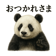 [LINEスタンプ] 仕事終わりの一言〜リアルすぎるパンダ